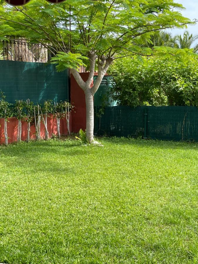 Albaricoque Sun & Apartamento