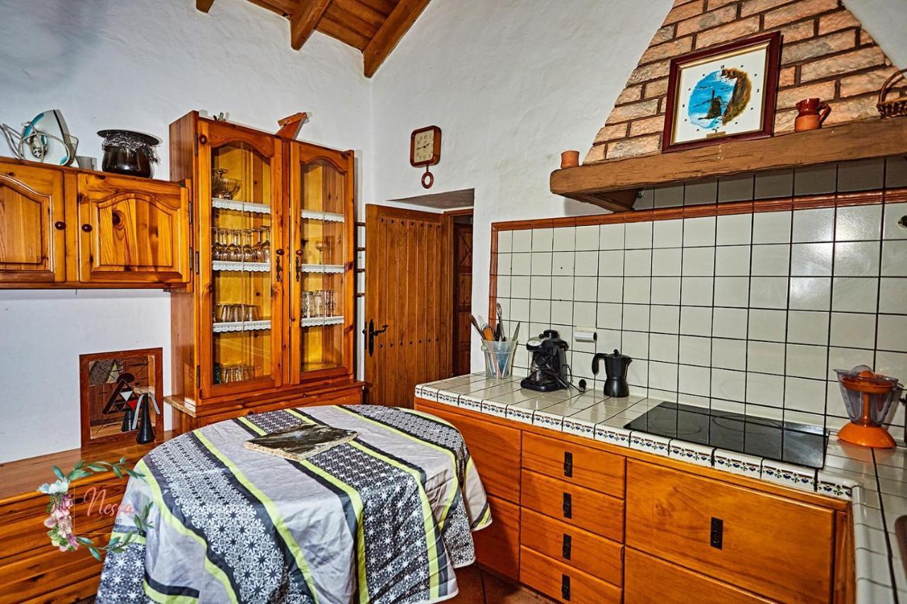 Oasis Fataga Maspalomas (Gran Canaria)