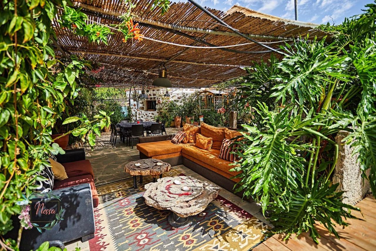Oasis Fataga
