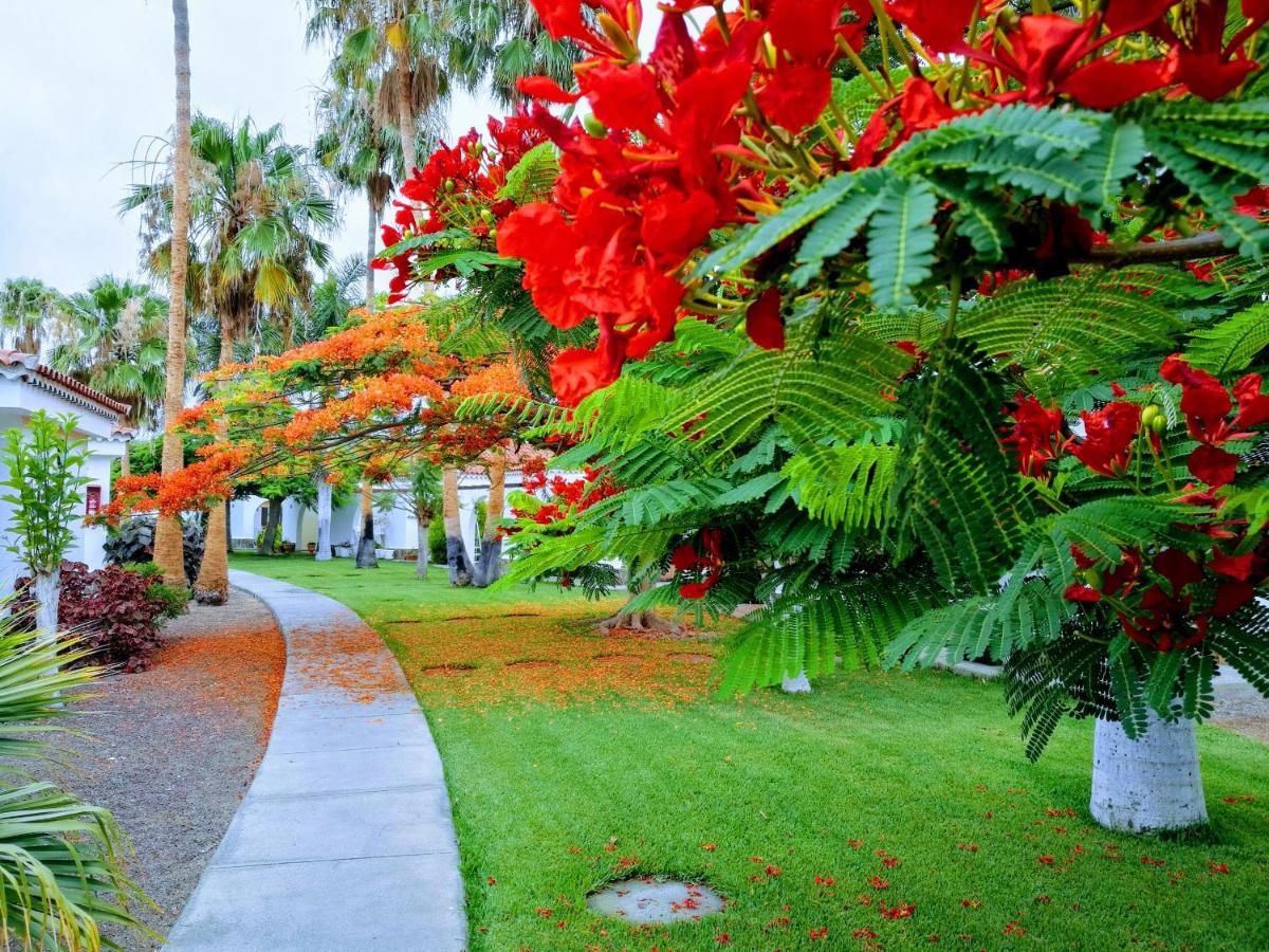 Parque Golf Maspalomas Apartment Maspalomas (Gran Canaria)