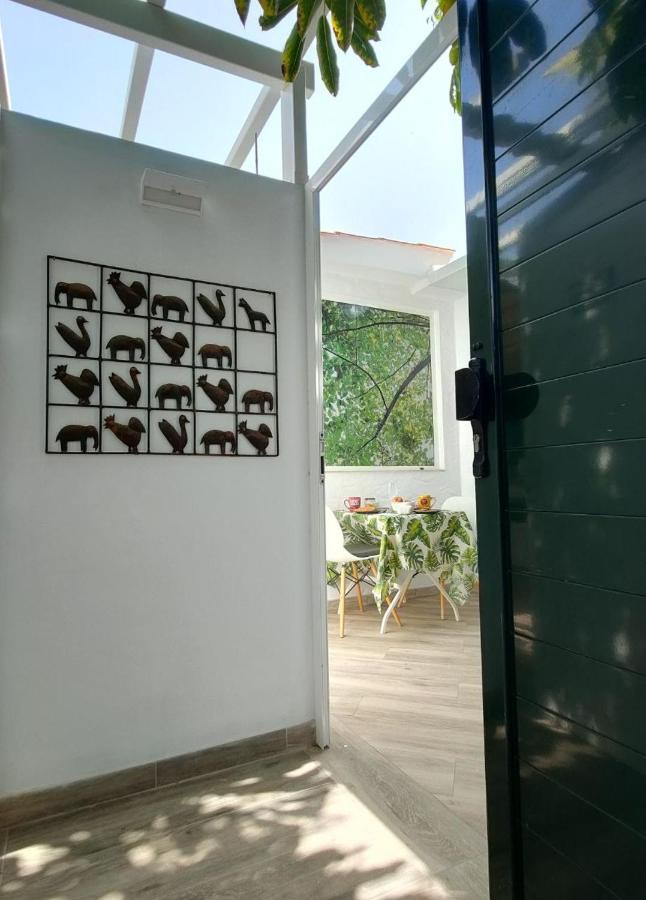 Casa Maga *