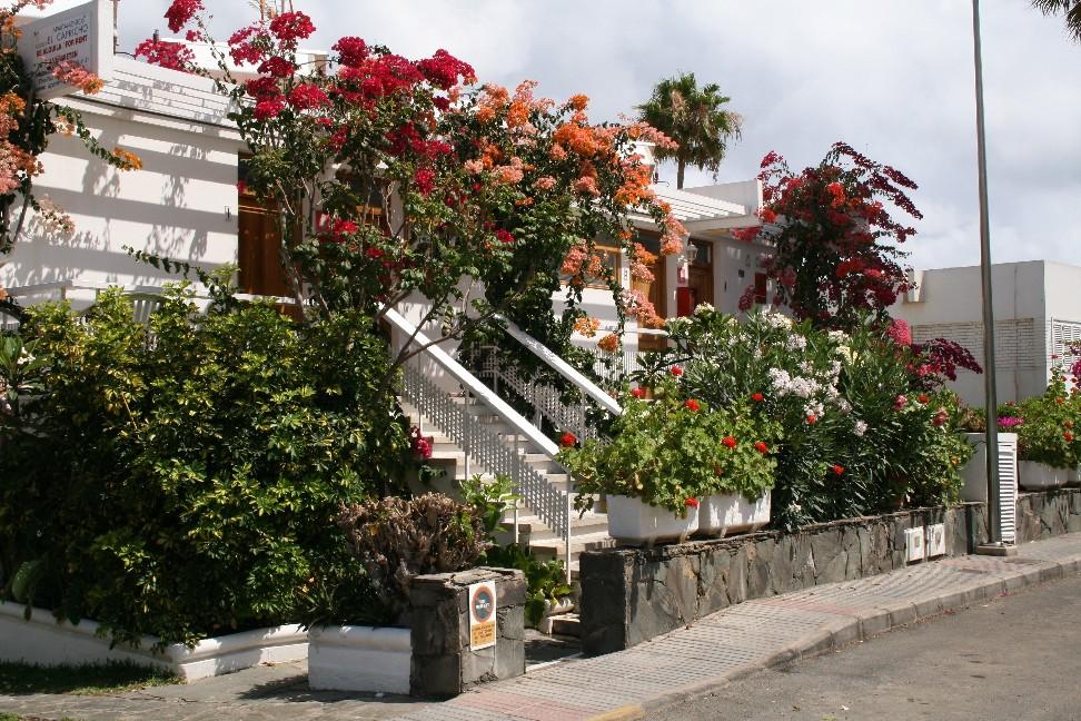 El Capricho Apartment Maspalomas (Gran Canaria)
