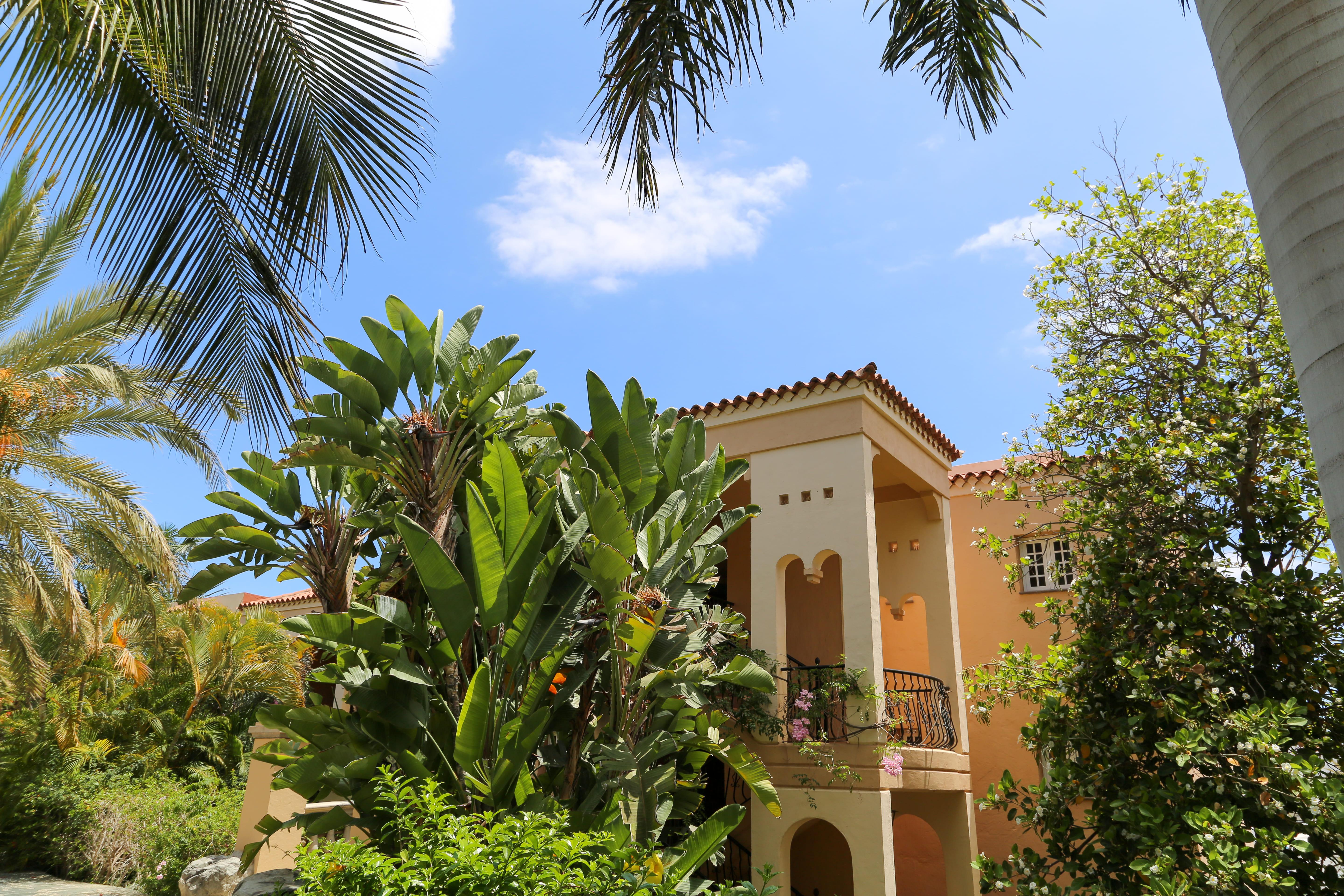 Palm Oasis Maspalomas Hotel