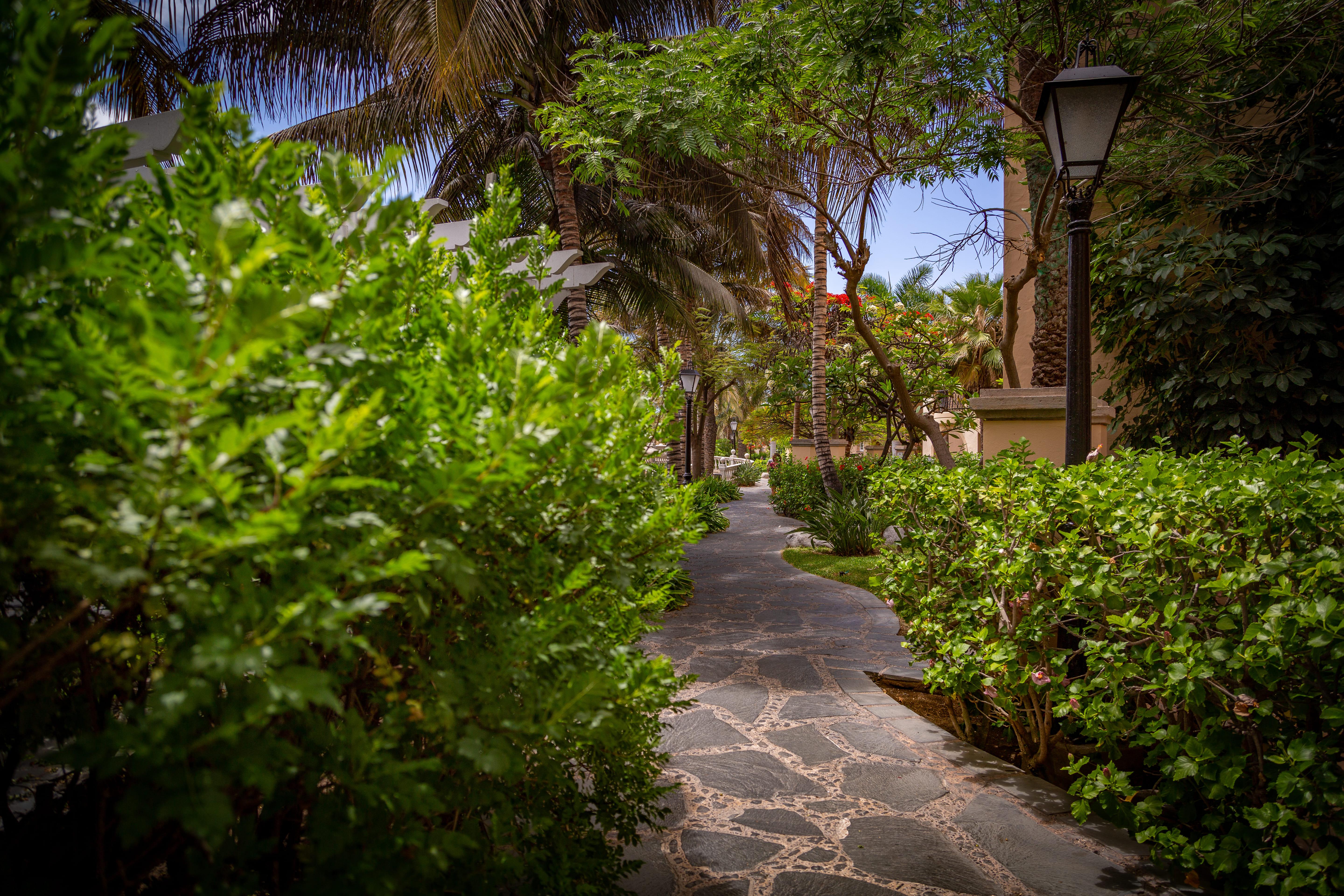 Palm Oasis Maspalomas 3* Maspalomas (Gran Canaria)