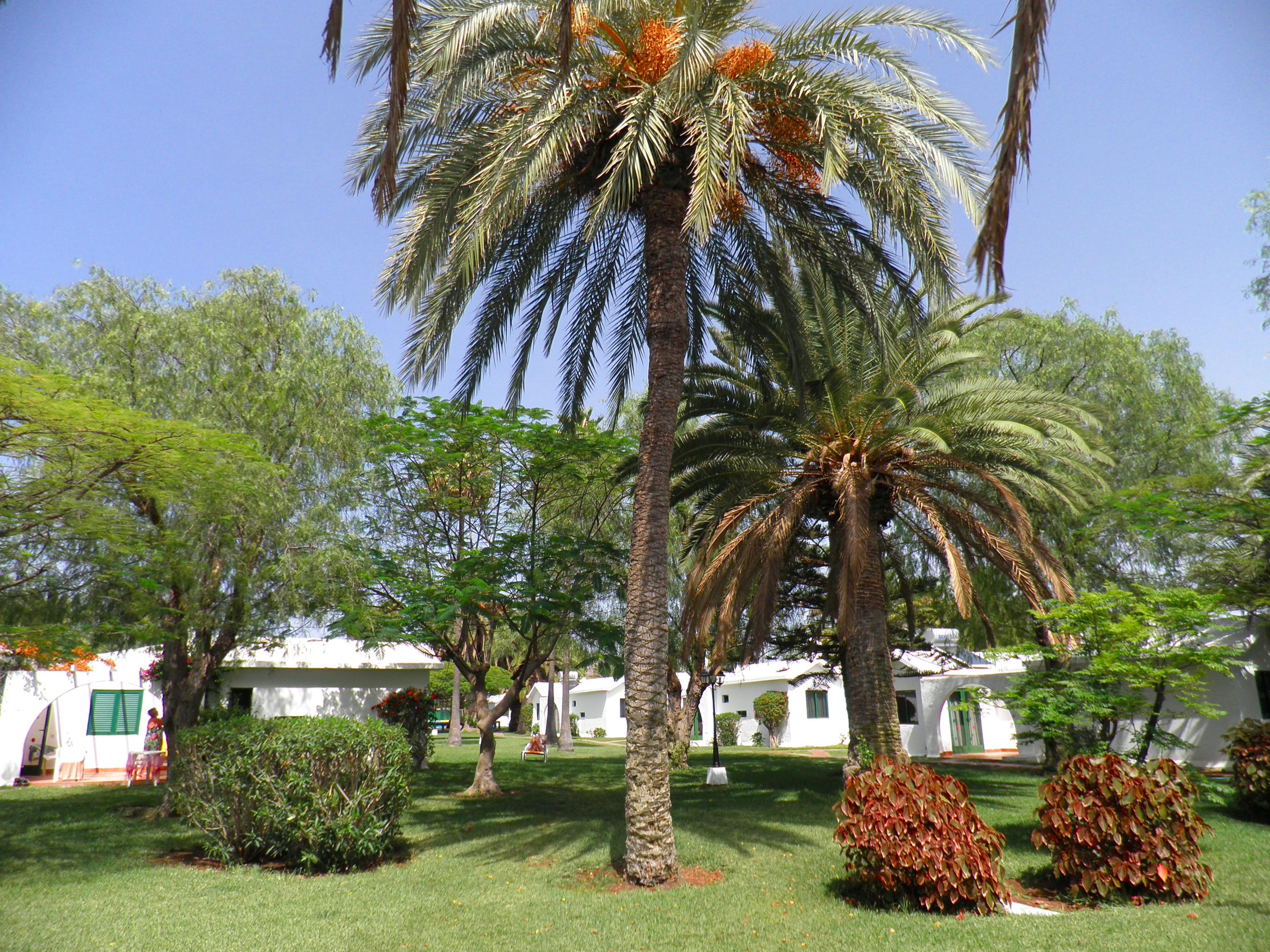Resort Canary Garden Club Maspalomas (Gran Canaria)