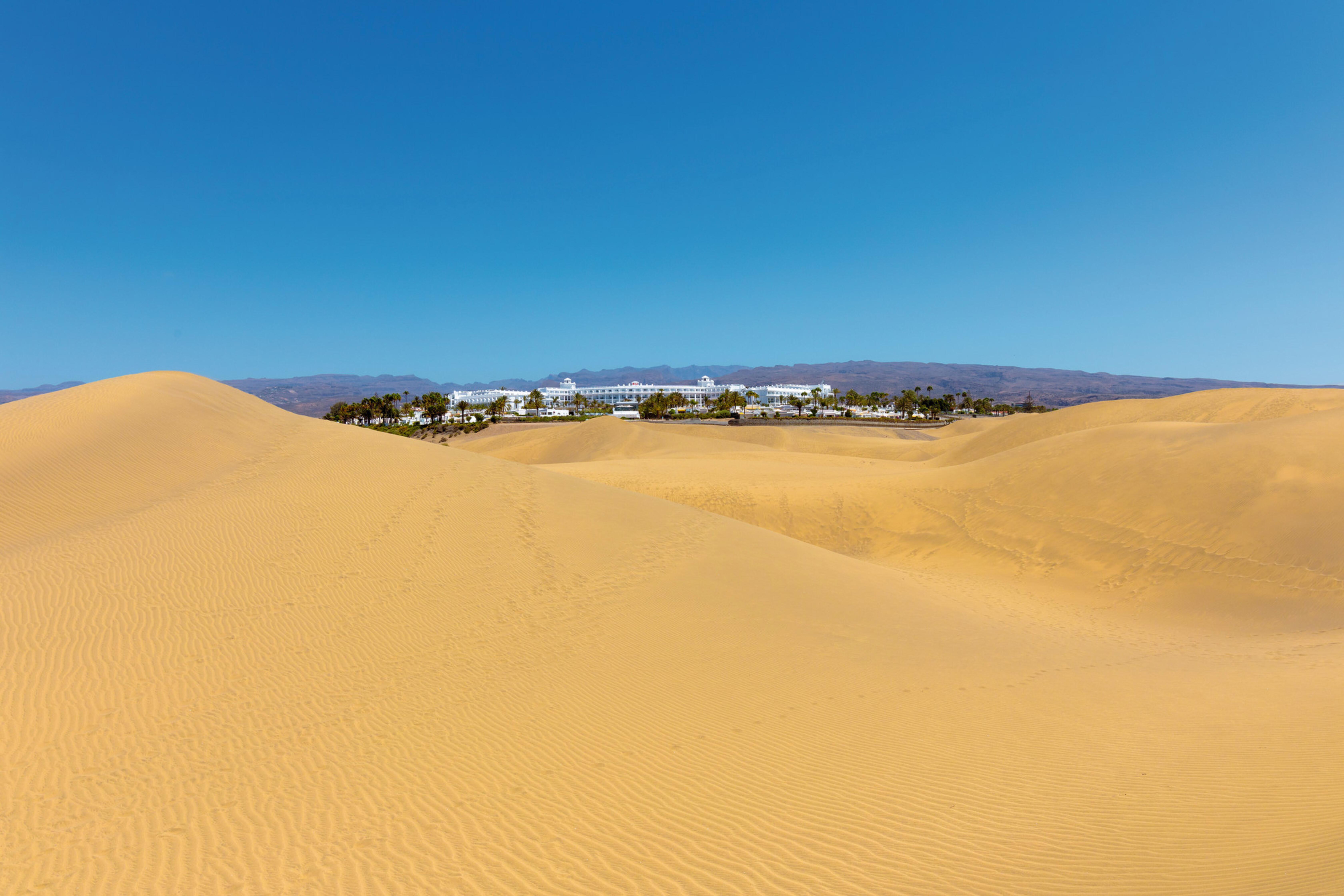 Hotel Riu Palace Maspalomas (adults Only) 4*