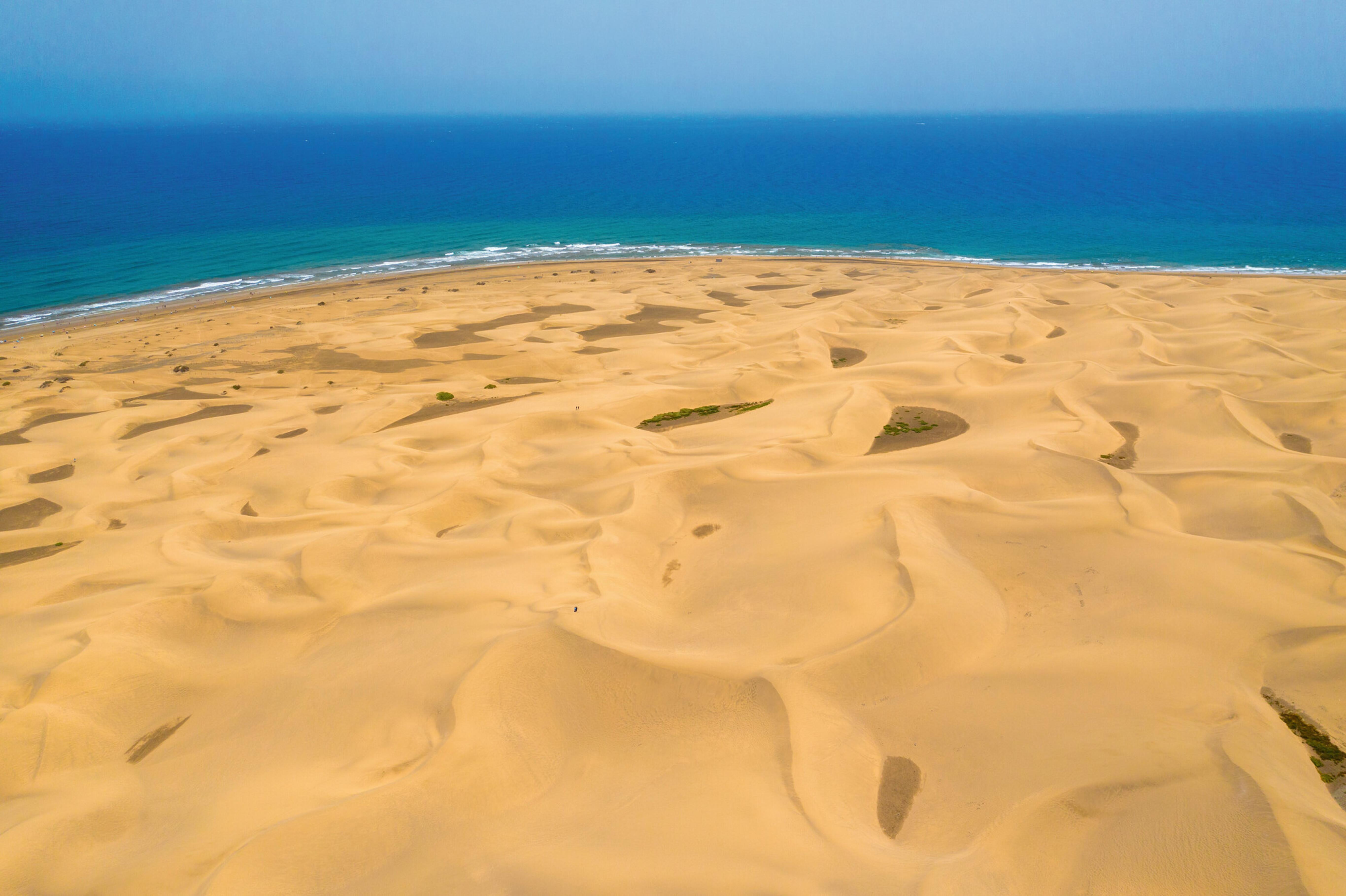Riu Palace Maspalomas (adults Only) 4* Maspalomas (Gran Canaria)