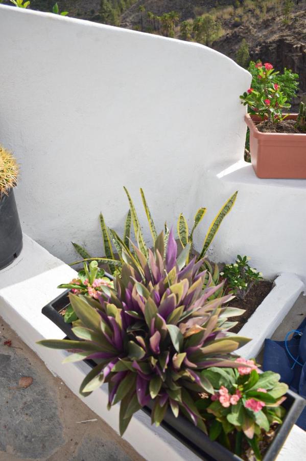 Casa Pitita Maspalomas (Gran Canaria)