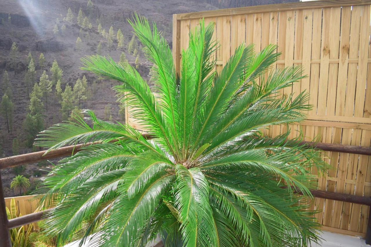 Casa Pitita * Maspalomas (Gran Canaria)
