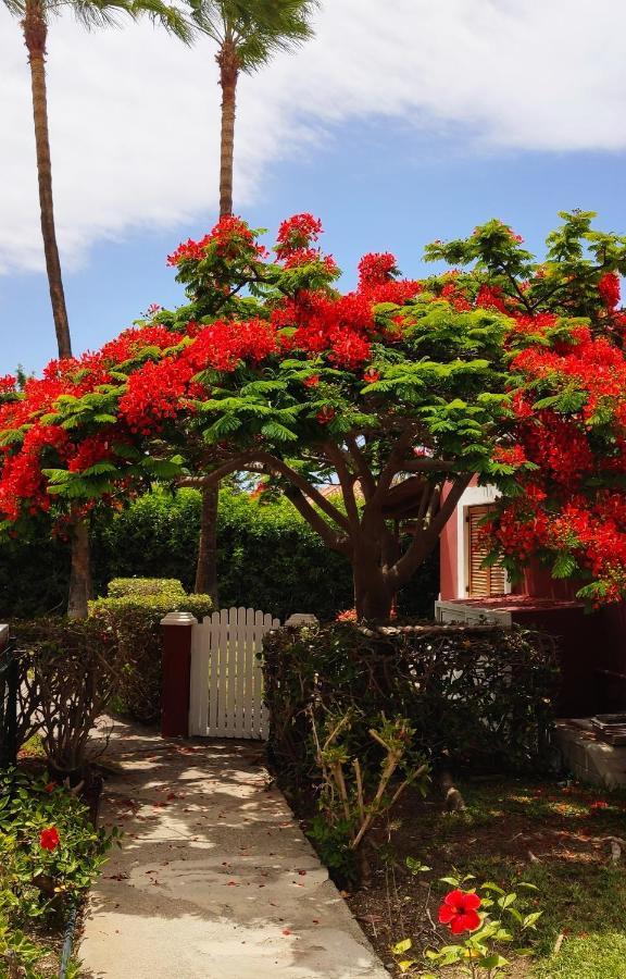 Casa de férias Maspalomas Treasure *