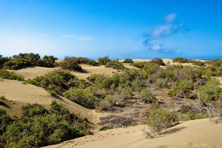 Sol De Maspalomas Holiday home *