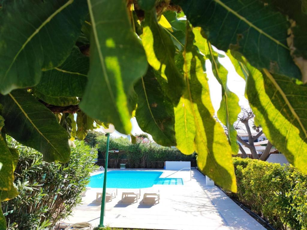 Sol De Maspalomas Ferienhaus Maspalomas (Gran Canaria)