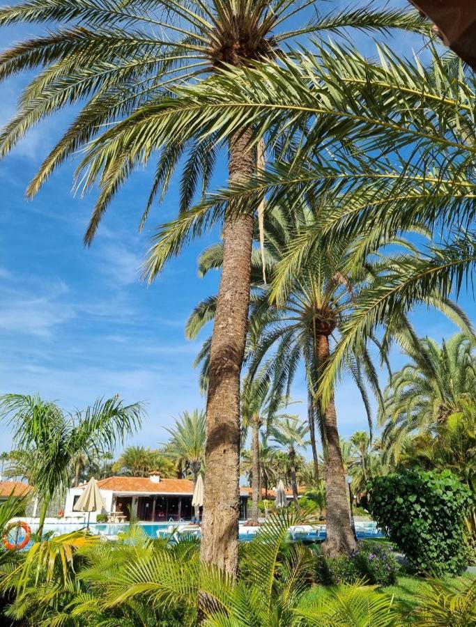 Sun Club P65 Premium Holiday home Maspalomas (Gran Canaria)