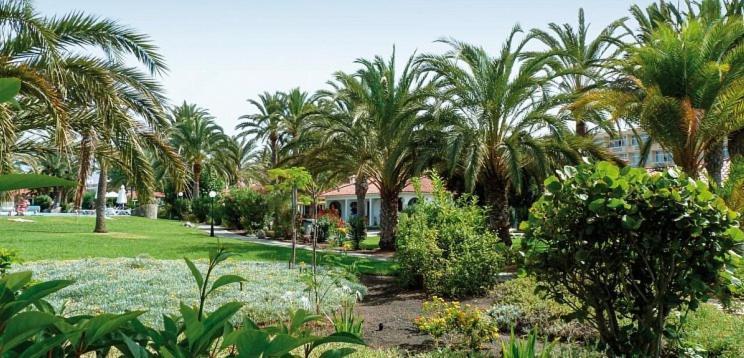 Sun Club P65 Premium Maspalomas (Gran Canaria)