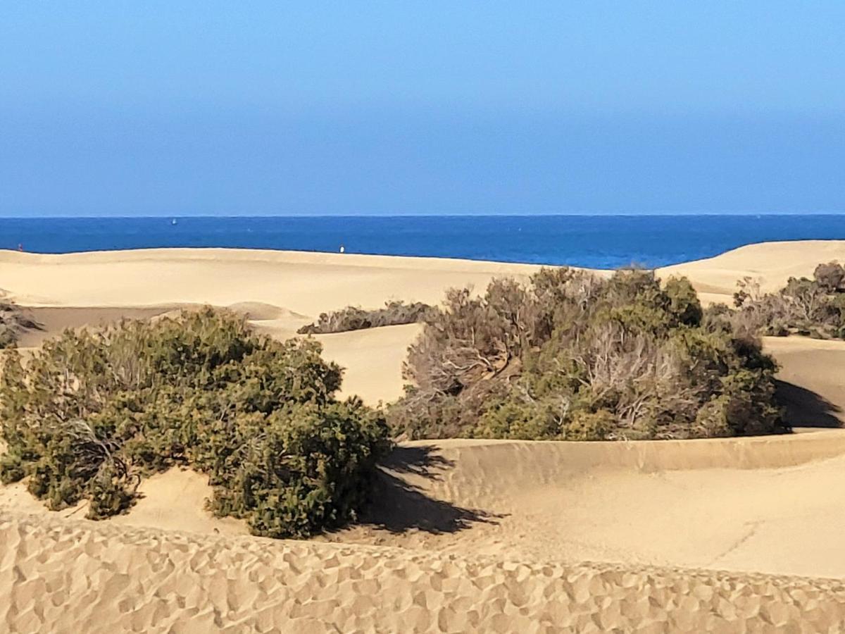 Taidia Tropical Apartment Maspalomas (Gran Canaria)
