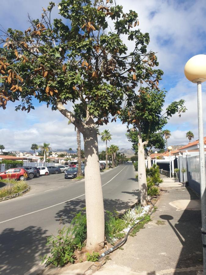 El Caramelito 1 * Maspalomas (Gran Canaria)