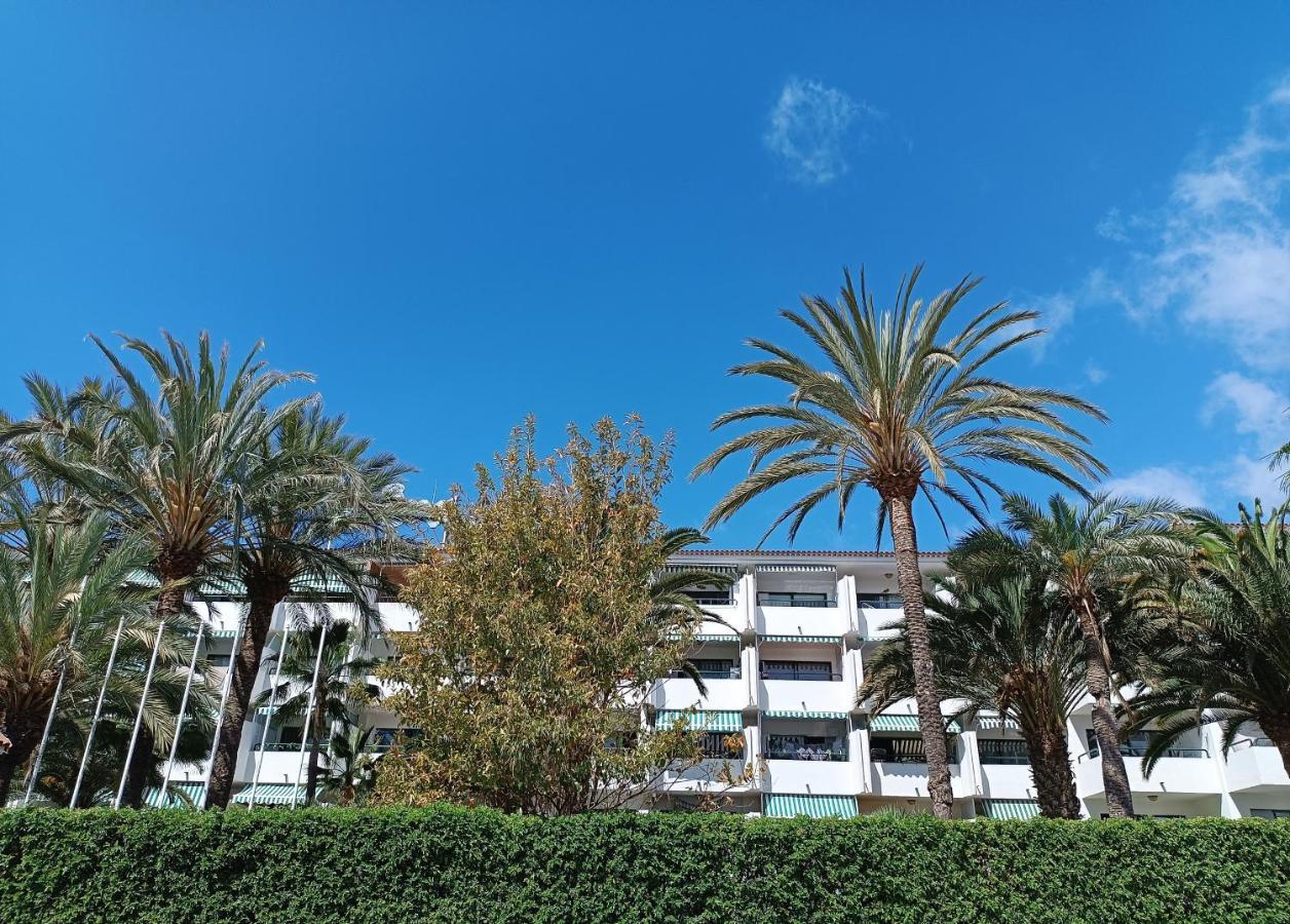Apartment Surycan *