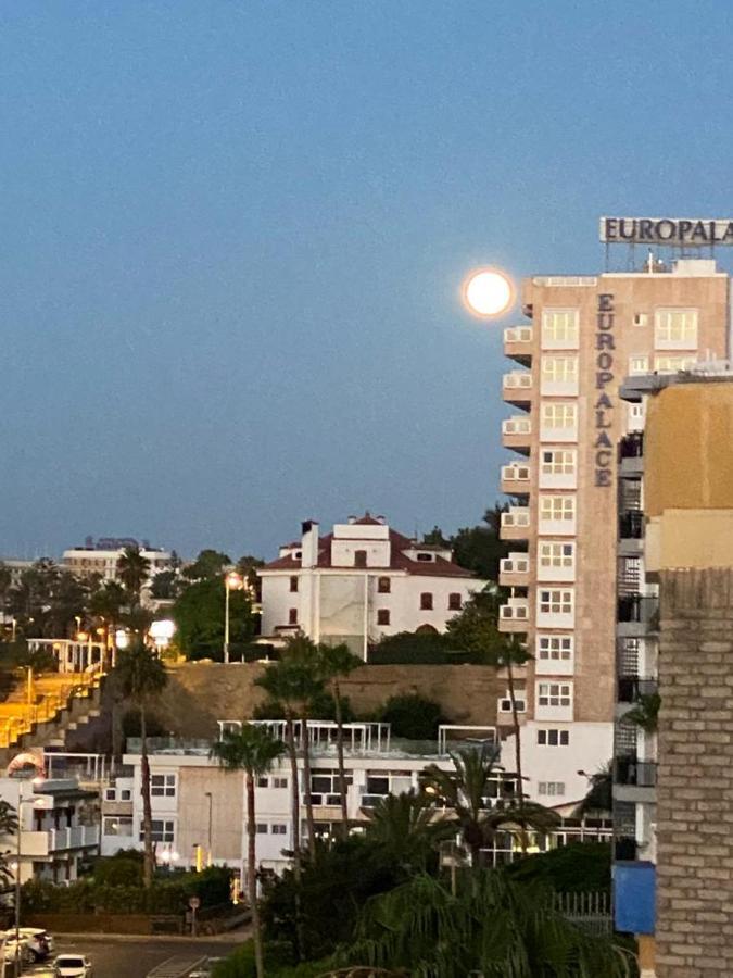 Canalex Apartamento
