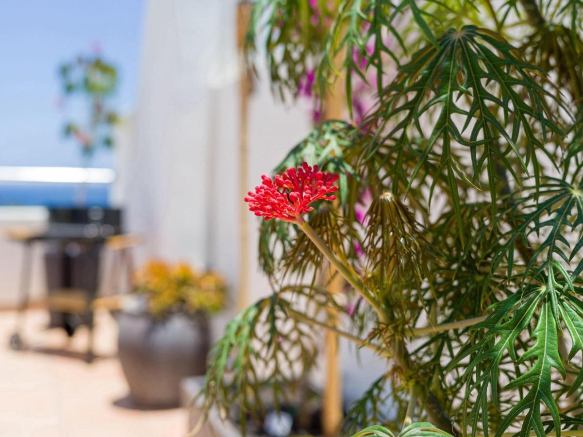 Zweistoeckiges-penthouse-mit-privater-dachterrasse * Maspalomas (Gran Canaria)