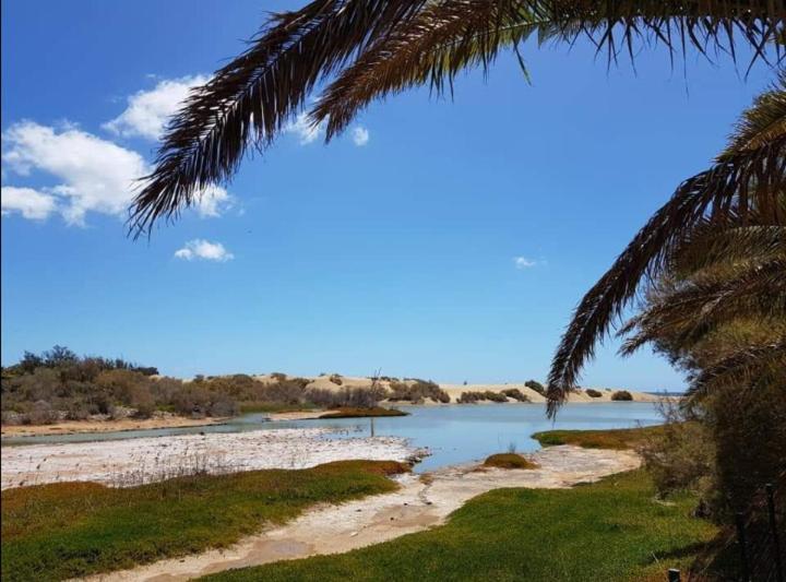 Tropical Con Piscina Y Aire Acondicionado Ferienhaus Maspalomas (Gran Canaria)