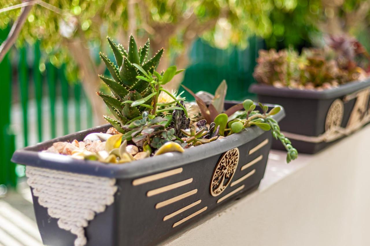 Apartamento Cactus Maspalomas (Gran Canaria)