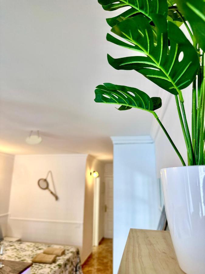 Apartment Danubio - Playa Del Ingles *
