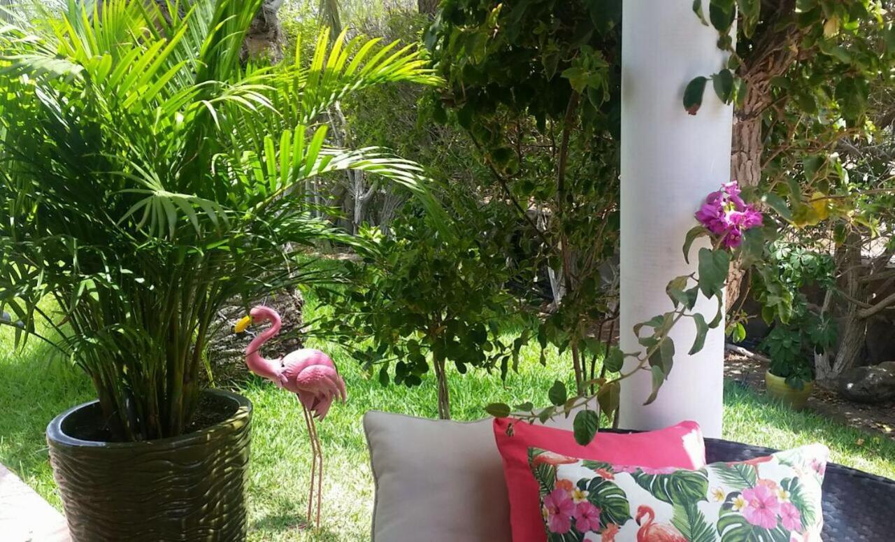 Luxury Bungalow”paradise Birds” * Maspalomas (Gran Canaria)