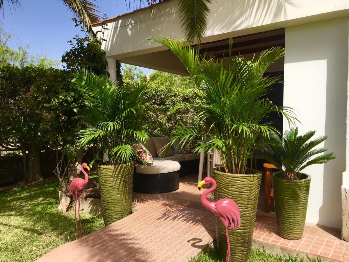 Apartamento Luxury Bungalow”paradise Birds” Maspalomas (Gran Canaria)