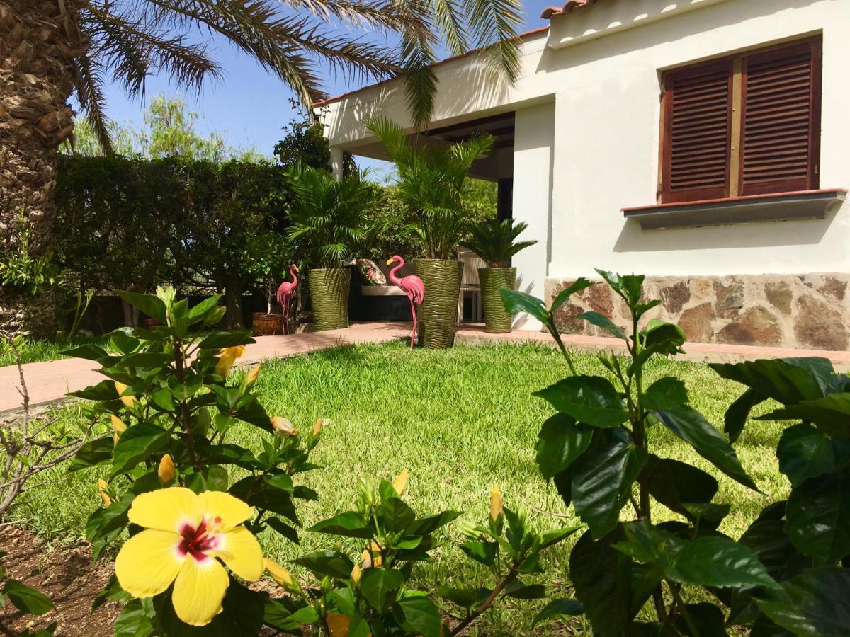 Luxury Bungalow”paradise Birds” * Maspalomas (Gran Canaria)
