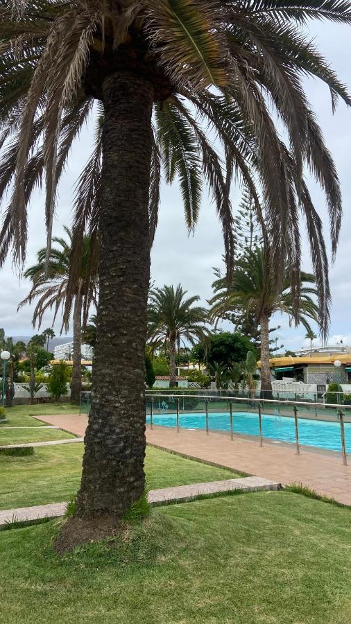 Siena, In The Center Of Playa Del Ingles, Close To Cc Jumbo Maspalomas (Gran Canaria)