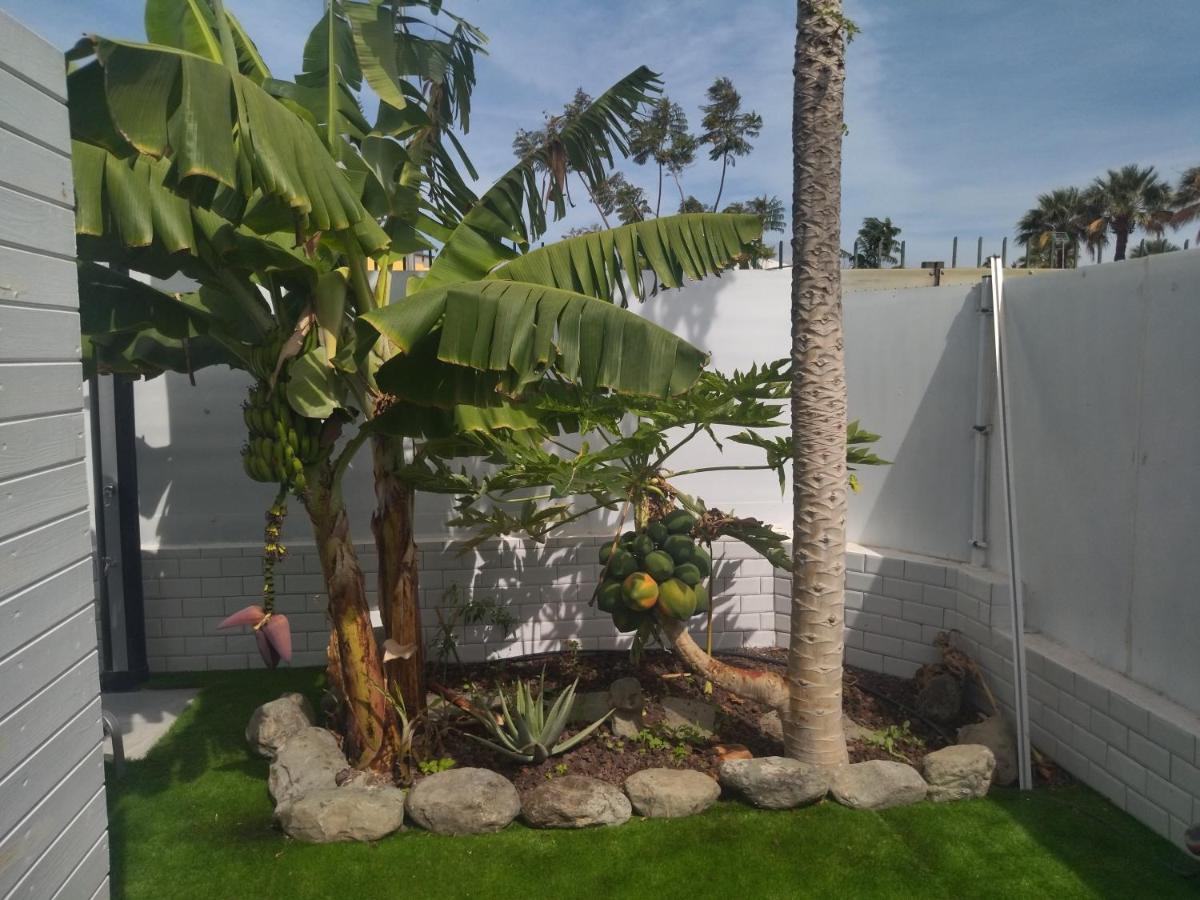 Tartanas 110-1-2 Holiday home