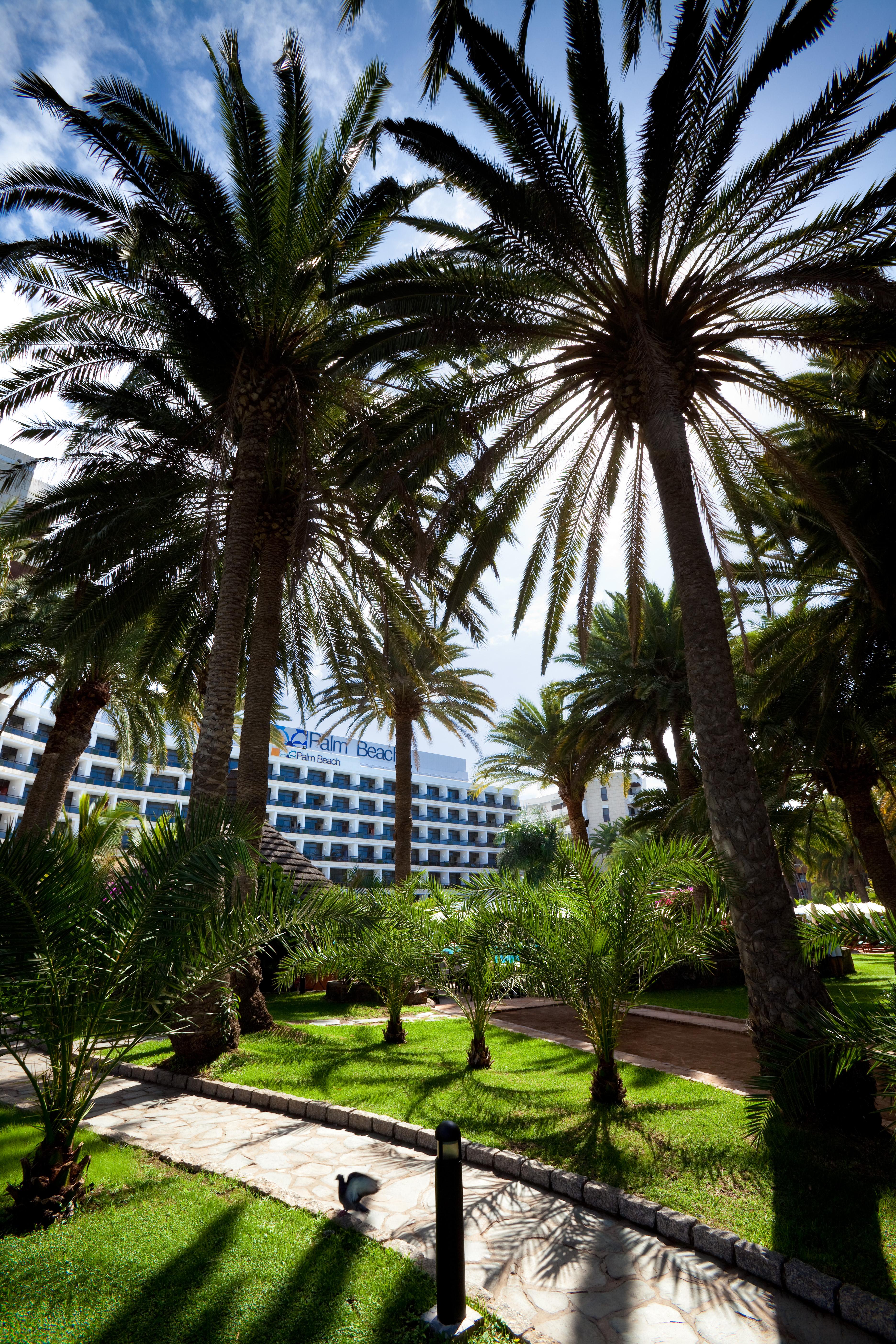 Seaside Palm 5*