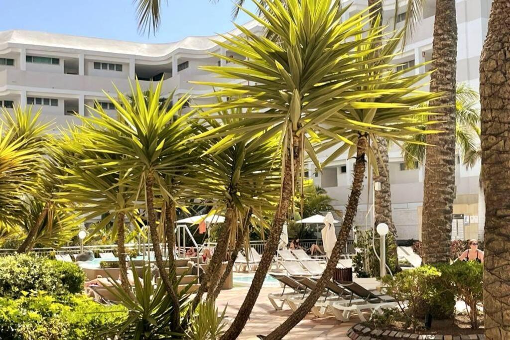 Apartament Dreams In Playa Del Ingles