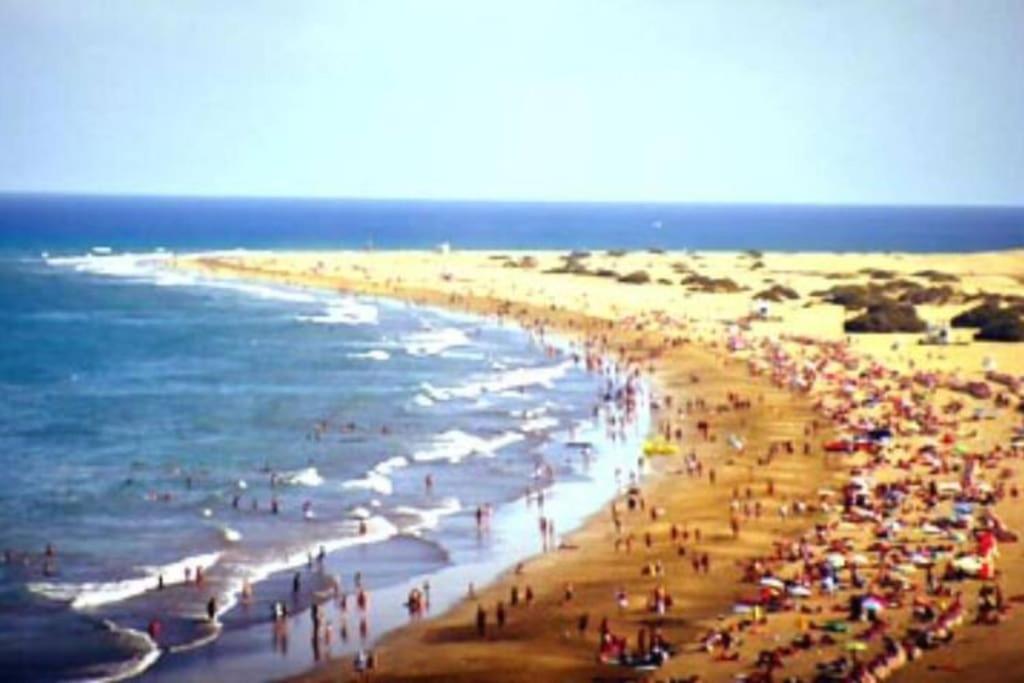 La Palmera 311