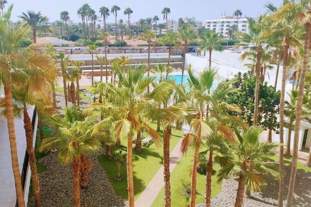 Apartment La Palmera 311 *