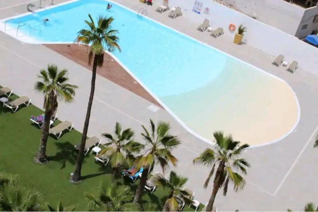 Apartment La Palmera 311 *