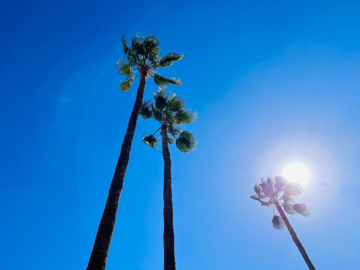 Meloneras Oasis Stress Less * Maspalomas (Gran Canaria)