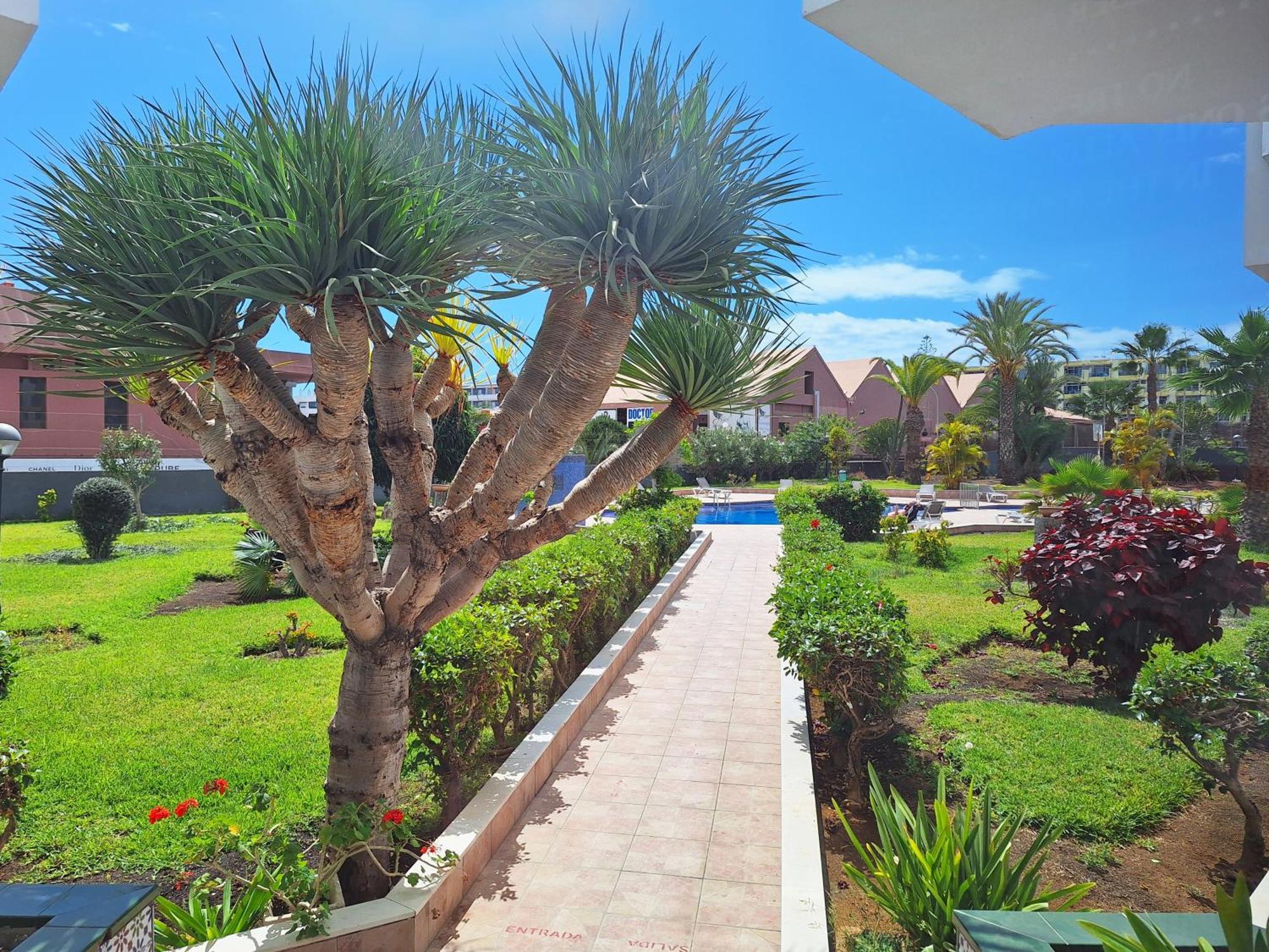 Stylish 2-bedroom Yumbo Maspalomas (Gran Canaria)