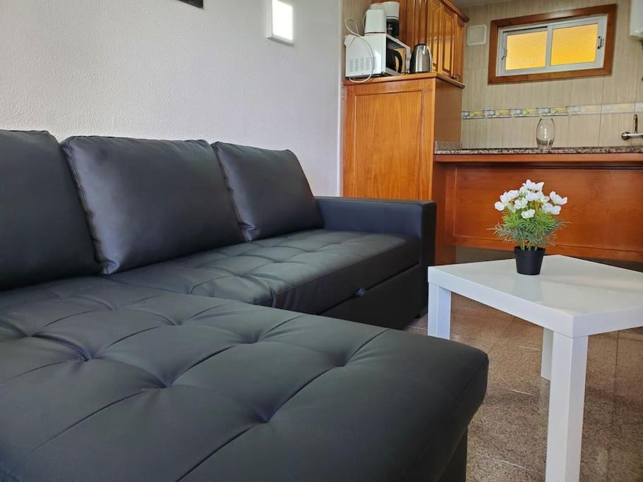Apartment Camelias Ci04