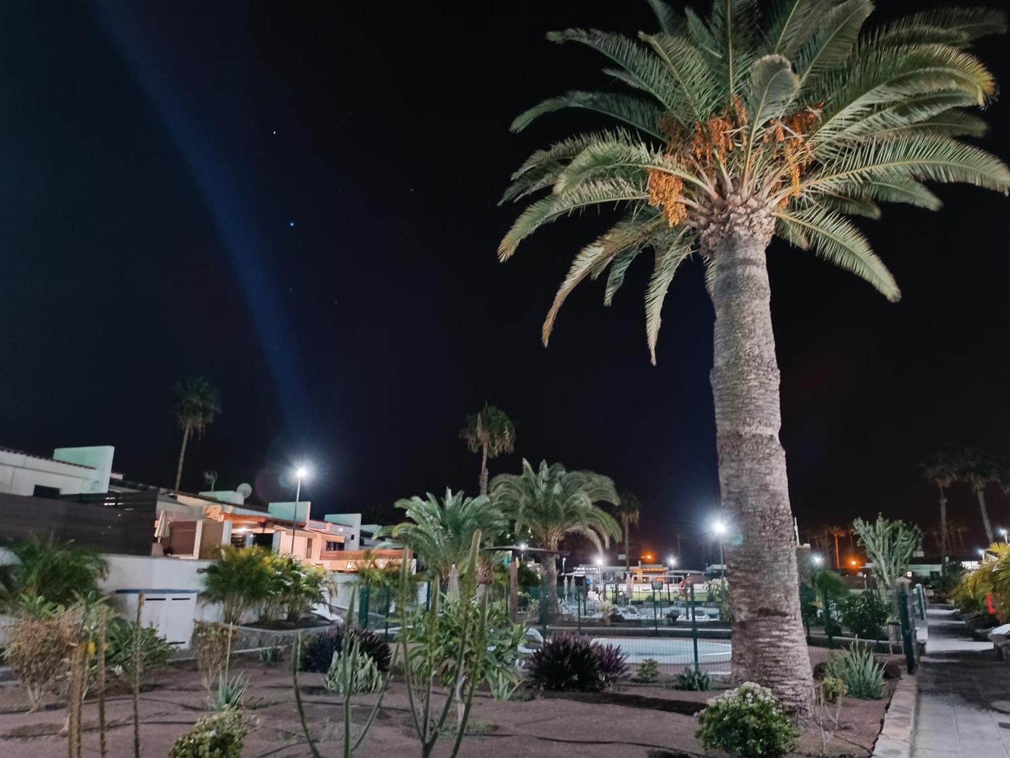 Sunny With Garden #1 Maspalomas (Gran Canaria)