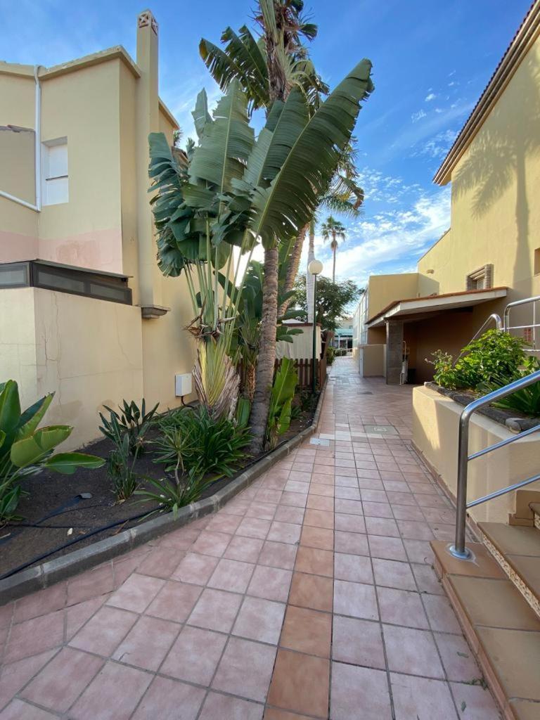 Holiday home Canarian Oasis By Luca Gran Canaria *