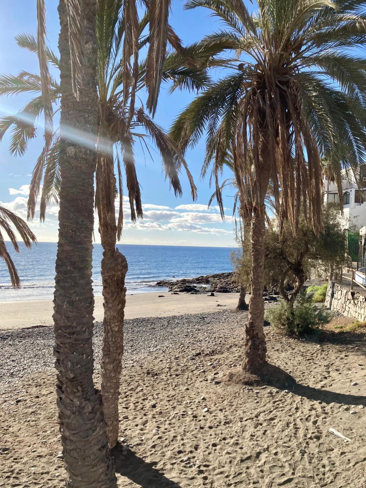 Sancarli Apartamento Appartement