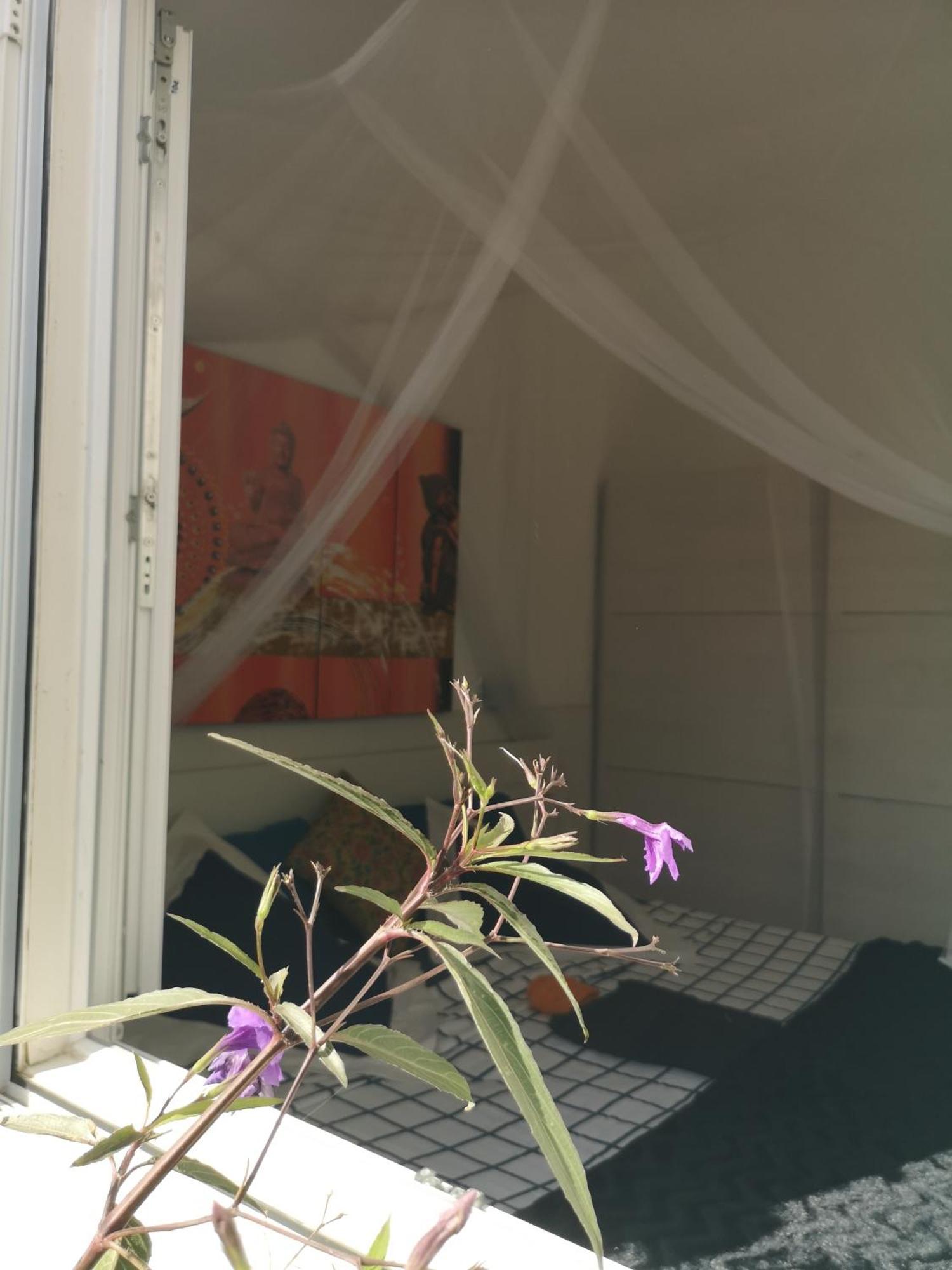 Yumbo Bed & Breakfast Maspalomas (Gran Canaria)