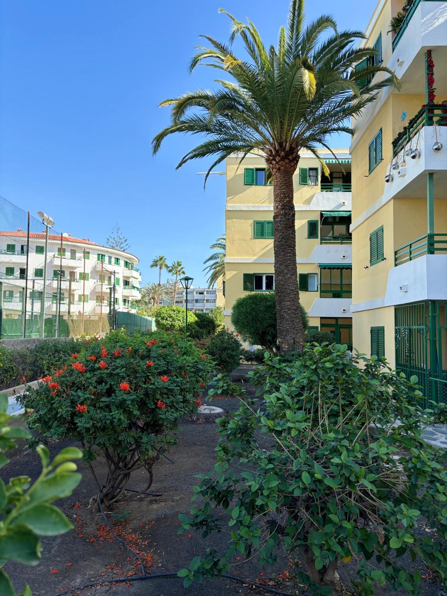 Olas 214 Apartment *