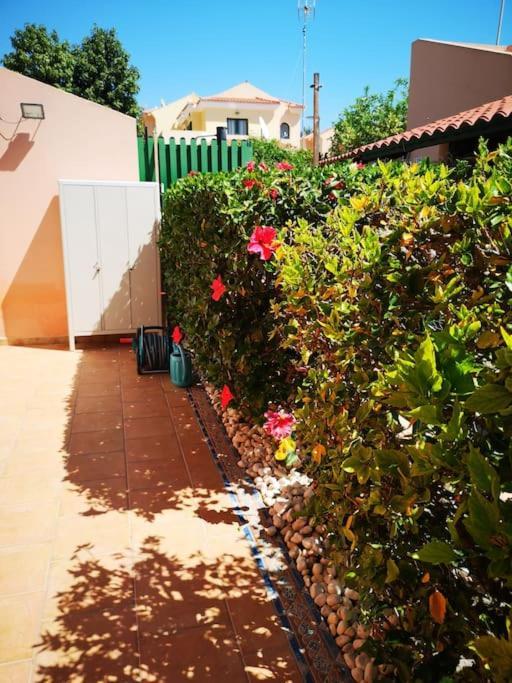 Holiday home Wohlfuehloase In Maspalomas (Gran Canaria)
