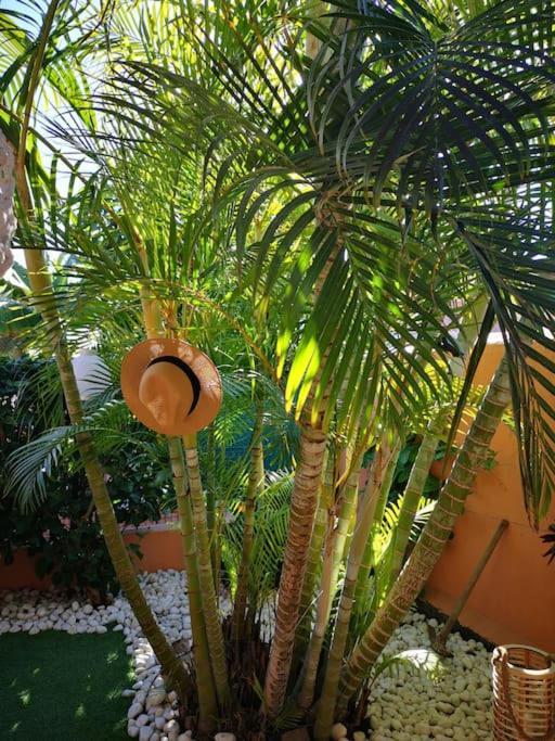 Case de vacanță Wohlfuehloase In Maspalomas (Gran Canaria)
