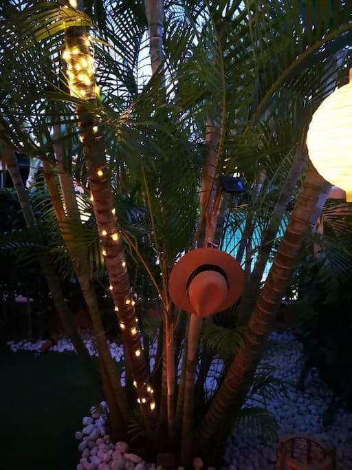 Wohlfuehloase In Maspalomas (Gran Canaria)
