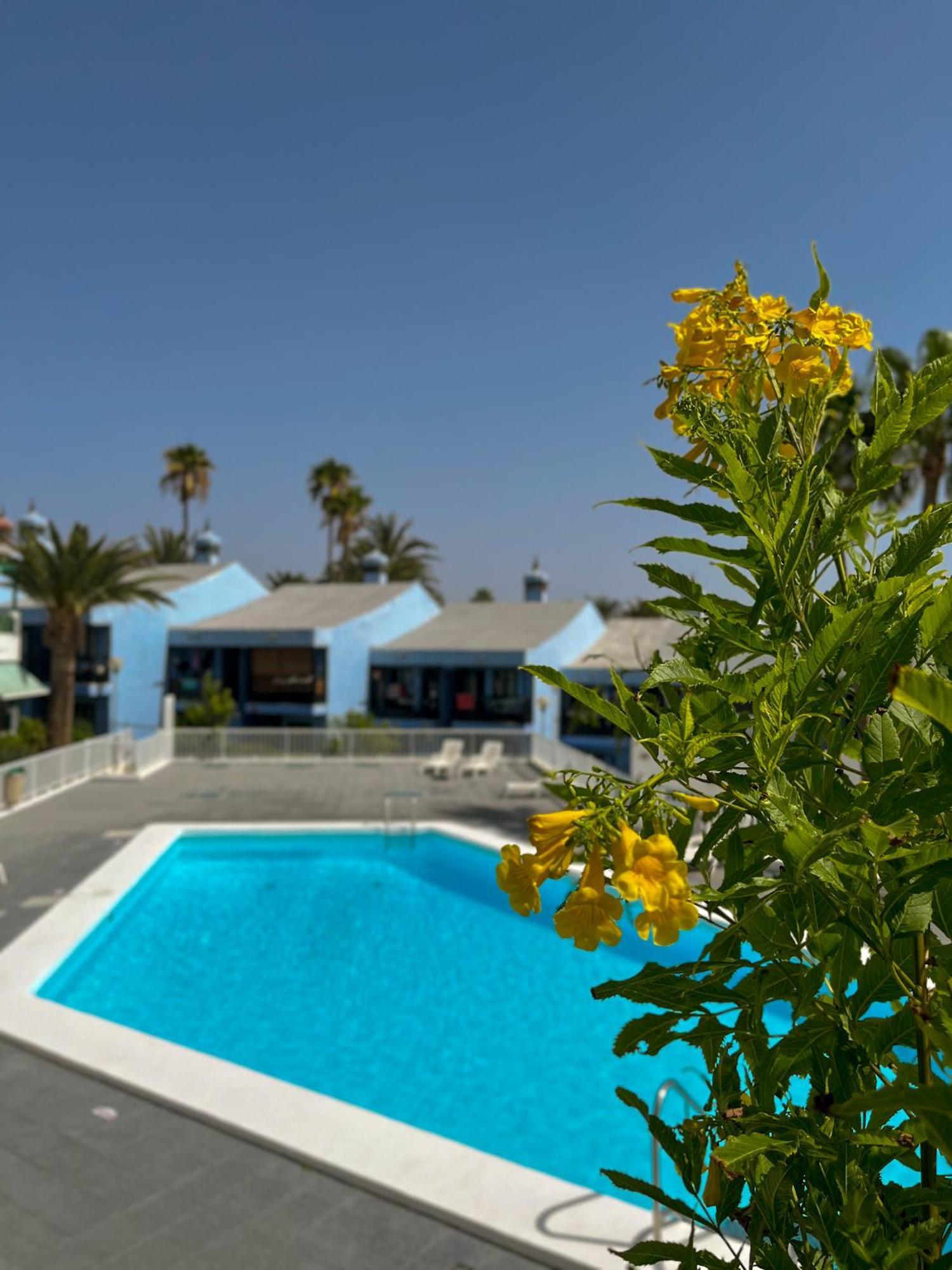 Beautiful Aguycan 120 Playa Del Aguila Maspalomas Gran Canaria Apartamento