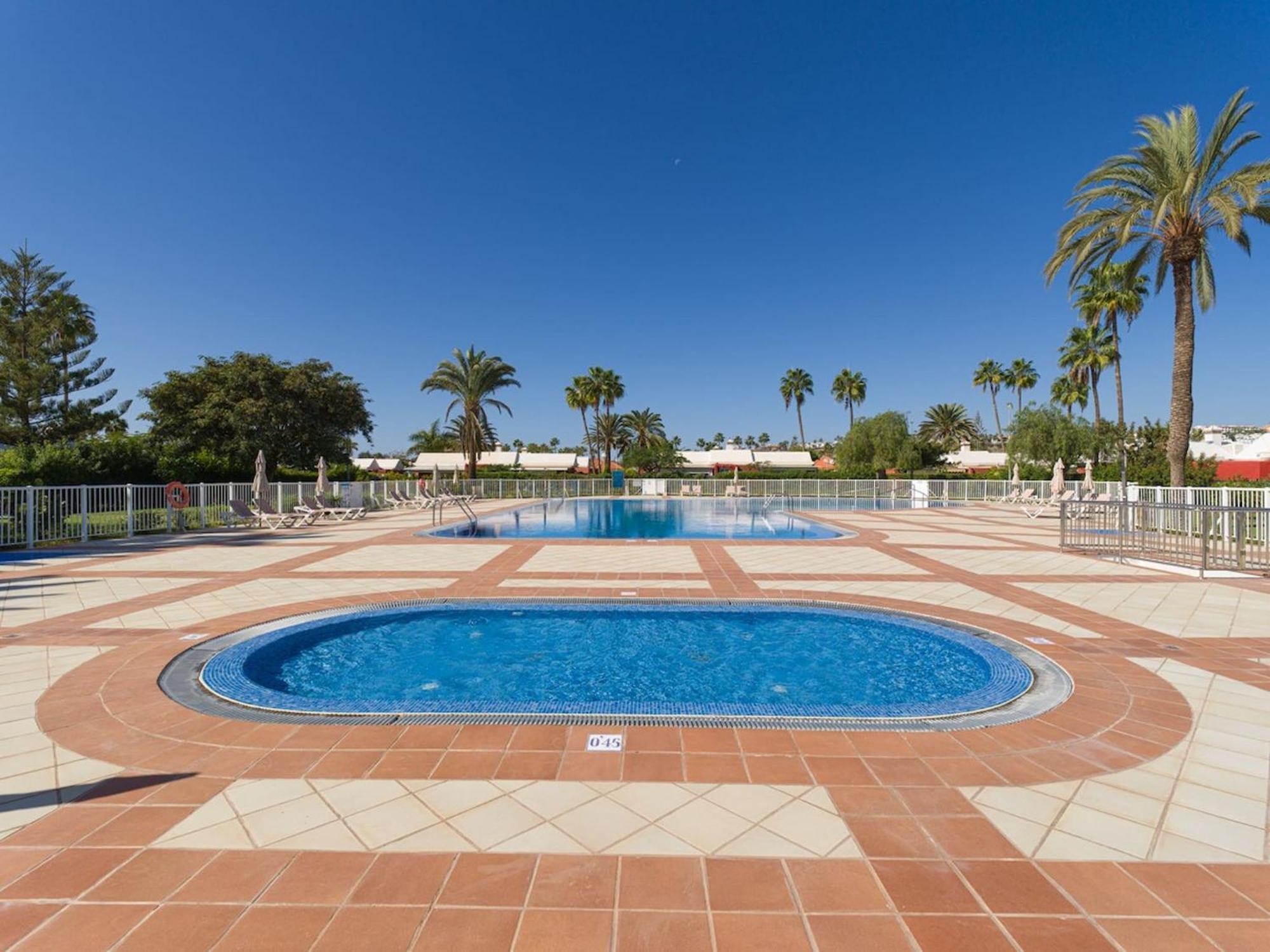Albaricoques Maspalomas (Gran Canaria)