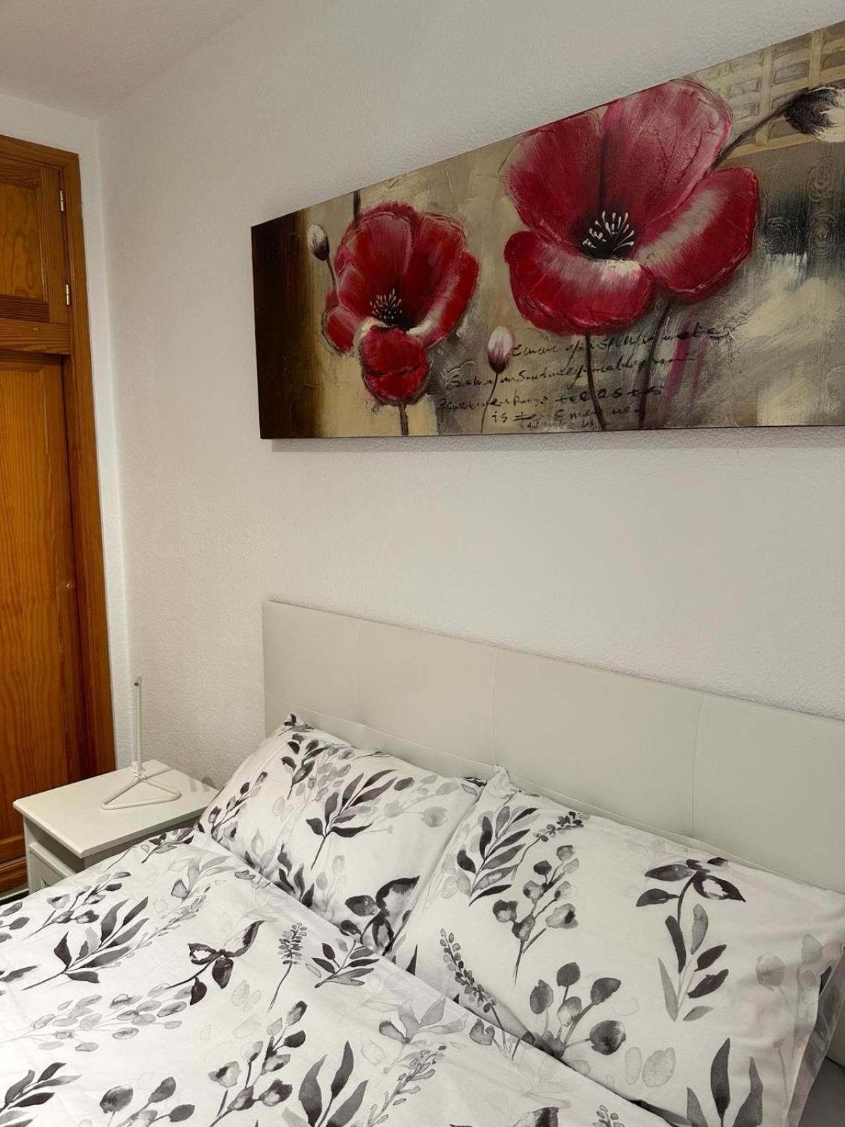 Apartment Surycan *